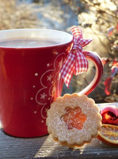 erreurs-dietetiques-avant-fetes